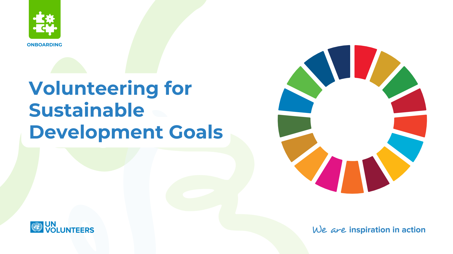 Volunteering for the Sustainable Development Goals