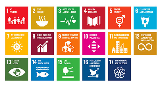 Volunteering for the Sustainable Development Goals